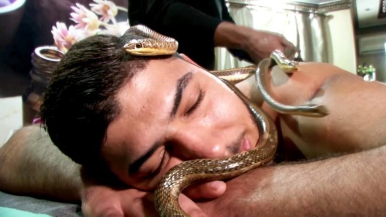 snake massage
