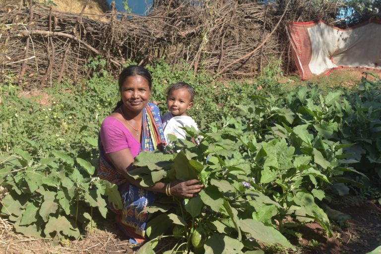Tata Steel Foundation: Over 860 Households Benefit From Vegetable Farming In Odisha’s Katamati