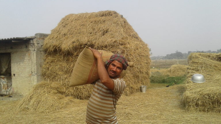 How A Digital Platform Ensured Good Harvest For Odisha Farmer