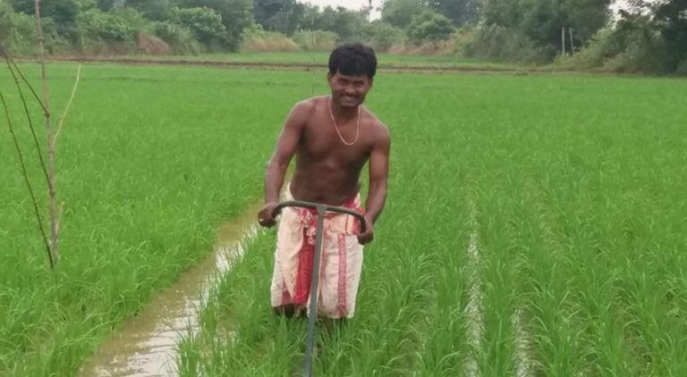 Multi-Farming Provides Sustainable Livelihood To Youth In Odisha’s Ganjam District