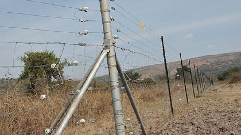 Forest Guard Gets Tangled In Electric Trap Set By Poachers In Odisha's Dhenkanal