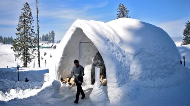 How About Chilling Out In This Chilled Igloo Cafe?