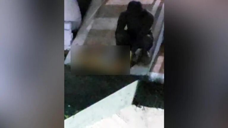 Viral Video: Man Arrested For Repeatedly Raping Dog