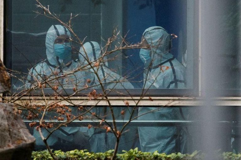 WHO Bat Caves China COVID-19 Origin