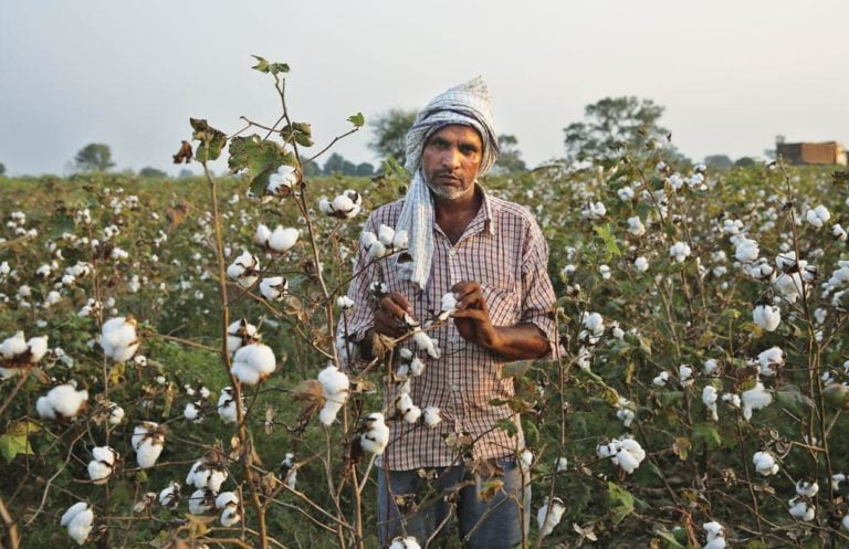 Export Express: Odisha Cotton Rides A Train To Bangladesh