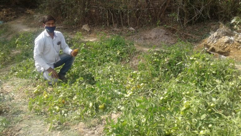Organic Farming Methods Help Odisha Farmers In Getting Better Yield