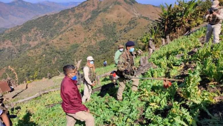 manipur poppy plantation destroyed