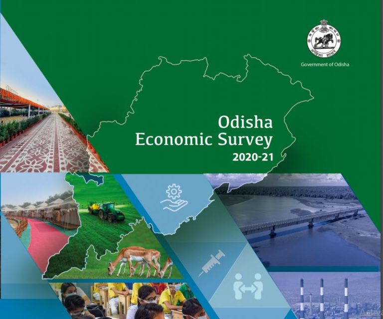economic survey