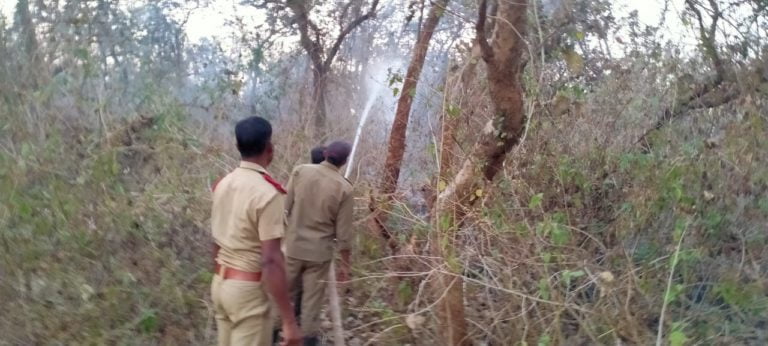 forest fire odisha
