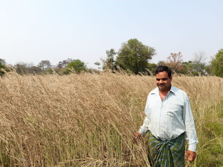 Odisha Farmer Yields Good Harvest With Expert Advice