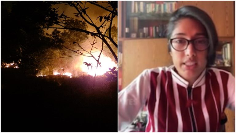 [Watch] Attention World! Odisha’s Princess Airs SOS For Forest Fire In Similipal
