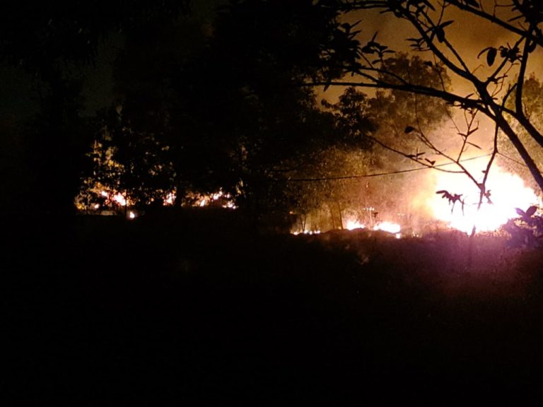 5291 Forest Fires In A Week ‘Choke’ Odisha Wildlife; The Highest In The Country