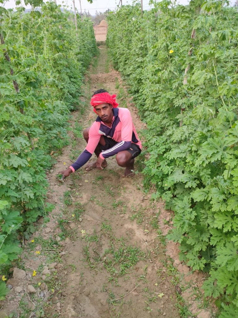 Expert Advice Changes Young Odisha Farmer’s Fortune