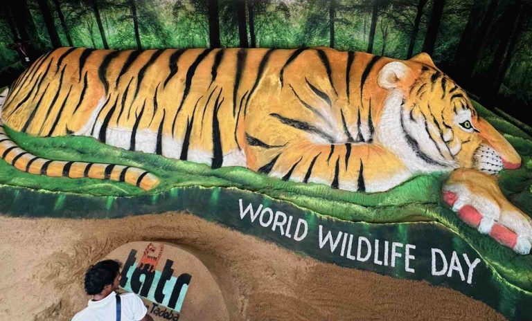 World Wildlife Day: Explore Attractions In Odisha