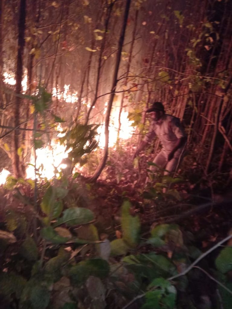Odisha CM Orders Engagement Of ODRAF Teams To Douse Forest Fires
