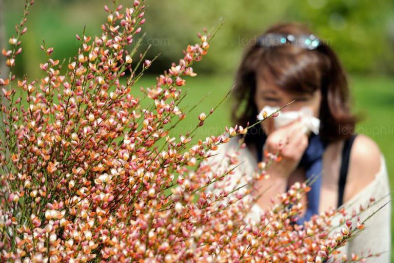 Did You Know Pollen Concentration And COVID-19 Are Connected? Here’s How?