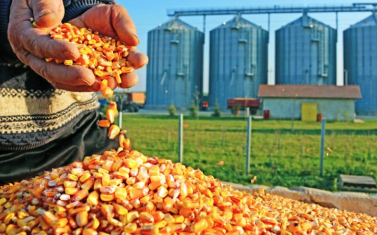 Finding Solutions To Problems Of India’s Agro Industry