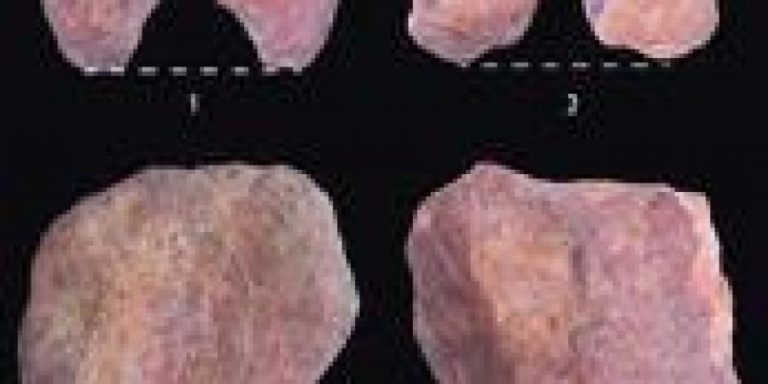 Human History In Odisha Dates Back To Stone Age! Bargarh Discovery Hints So