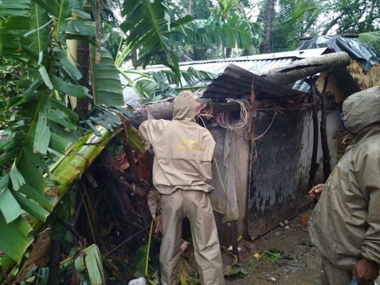 Fire service personnel cutting a tree that fell on cow shed