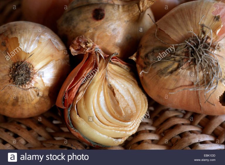 Fact Check: Can You Get Black Fungus From Your Refrigerator Or Onions?