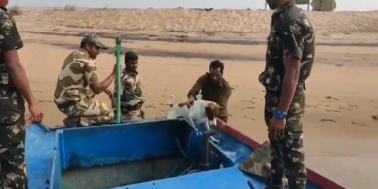 Castaway Dog Rescued From Island In Odisha