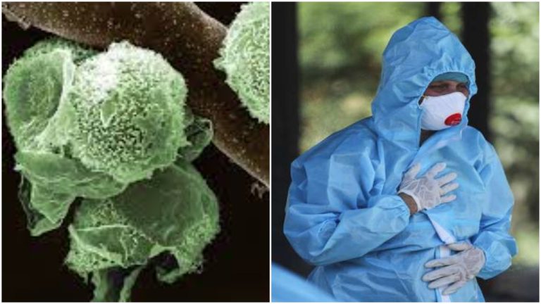 Now ‘Green Fungus’ Rears Its Head In India