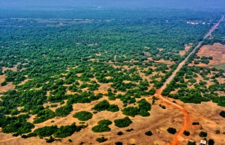 Sri Jagannath International Airport Puri