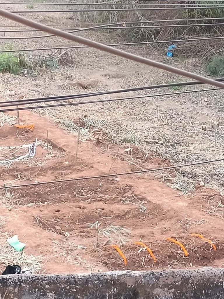 Odisha Train Accident: BMC Readies 4 Places For Mass Cremation As Relatives Await DNA Test Report