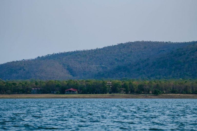 Explore Unique Bat Habitat, Sunset Island With Hirakud Cruise At Odisha’s Debrigarh