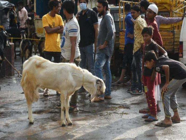 COVID Cloud: Not A ‘Mubarak’ Eid For Cattle & Goat Traders In Odisha Capital