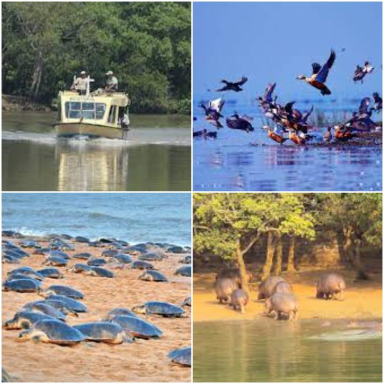 Centre Shortlists Four Sanctuaries In Odisha Under Eco-Tourism Plan