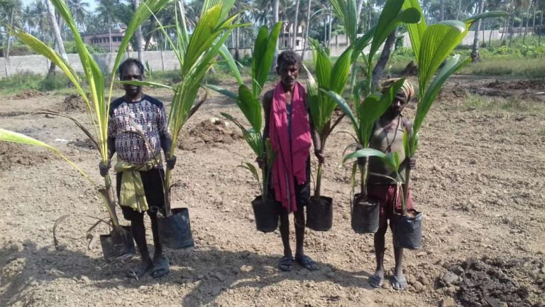 Odisha: Plan To Expand Green Cover In Sambalpur