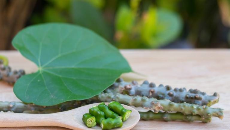 Fact Check: Is Giloy Harmful For The Liver?