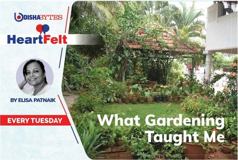 What Gardening Taught Me