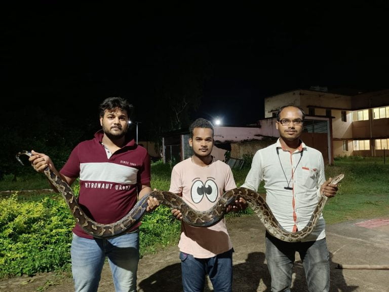 Python Rescued From College Hostel In Odisha’s Berhampur