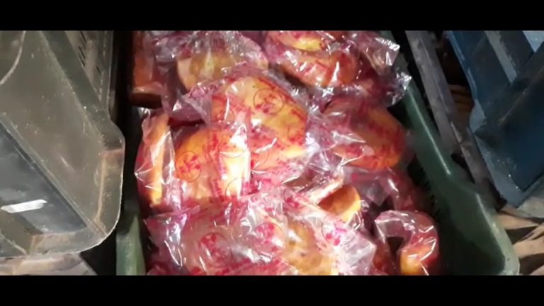 Spurious bread Cuttack