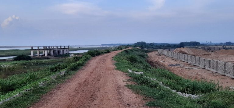 threat to olive ridleys