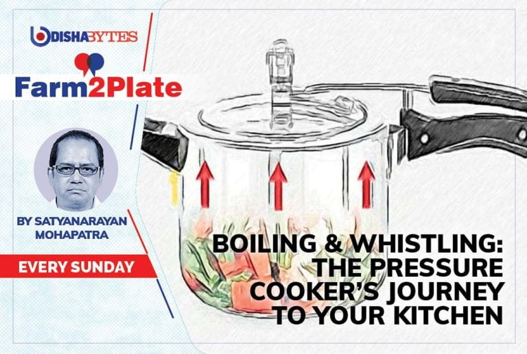 Boiling & Whistling: The Pressure Cooker’s Journey To Your Kitchen