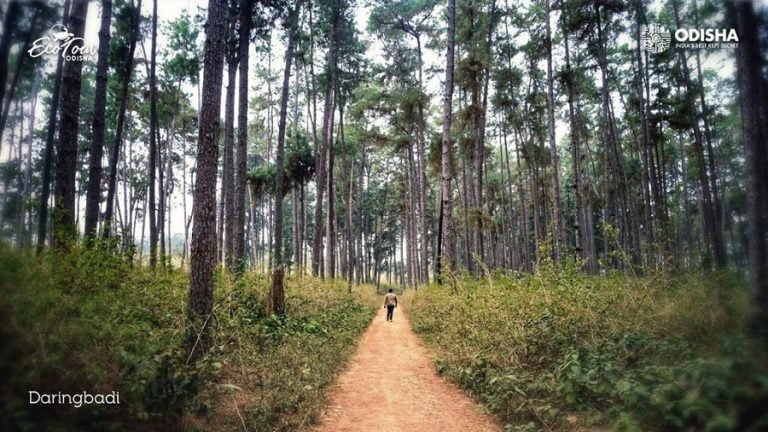 Tourist Destinations In Odisha’s Daringbadi Open For Holidaymakers