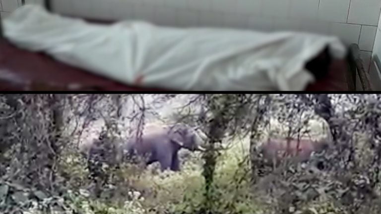 Tuskers Crush Man To Death In Odisha’s Dhenkanal