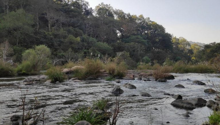 Odisha’s Similipal National Park Closed For Indefinite Period
