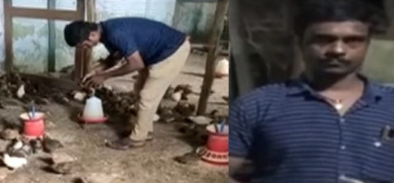 Quail Farmer In Odisha’s Khurda Learns Rearing From YouTube