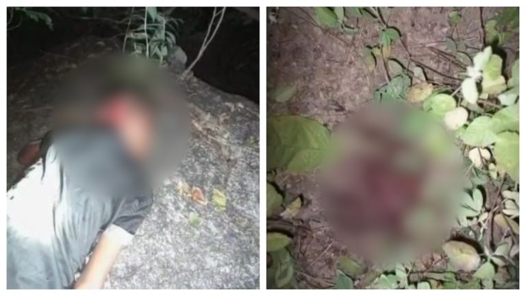 6-Year-Old In Odisha’s Nabarangapur Dist Dies In Leopard Attack In Chhattisgarh