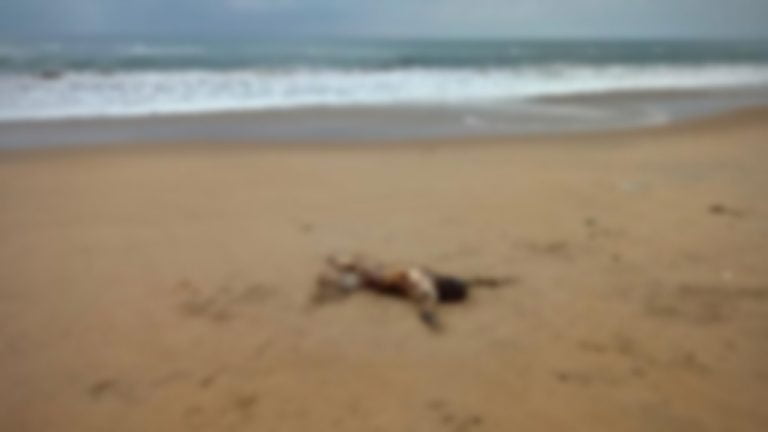 Decomposed Body Found On Puri Beach