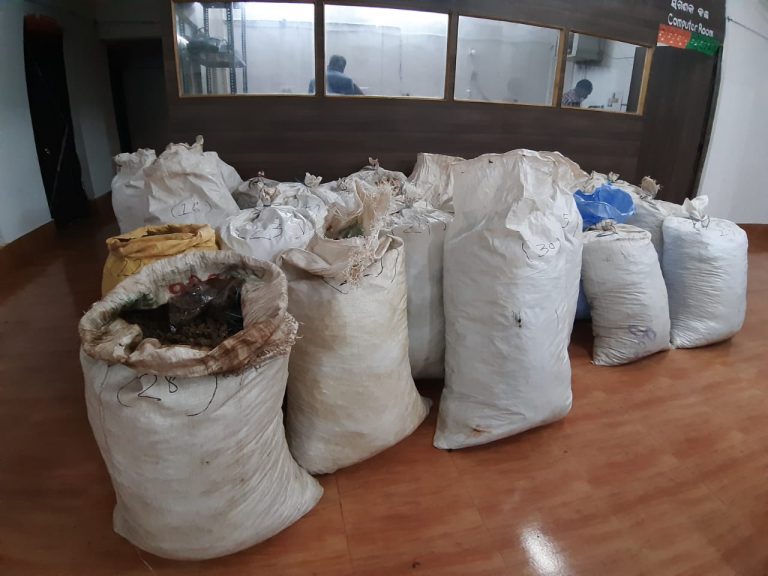 8 Quintal Ganja Seized In Odisha’s Koraput