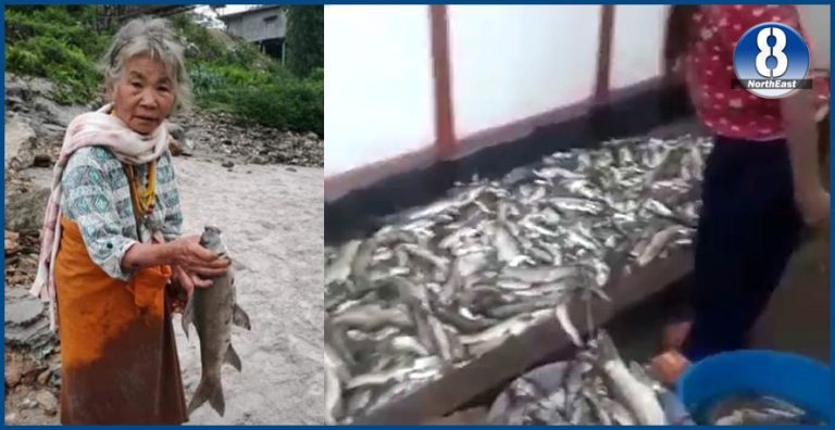 Thousands Of Fish Die As Arunachal’s Kameng River Turns Black