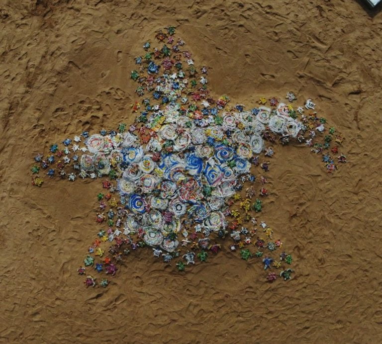 Delhi-Based Artist Creates Collage Of 250 Small Turtles On Puri Beach; He Has A Message For You