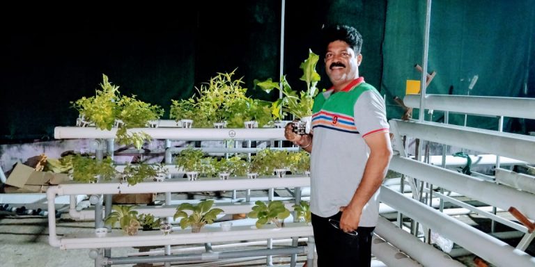 What Is Hydroponic Farming Being Done By Bhubaneswar Man On His Terrace?