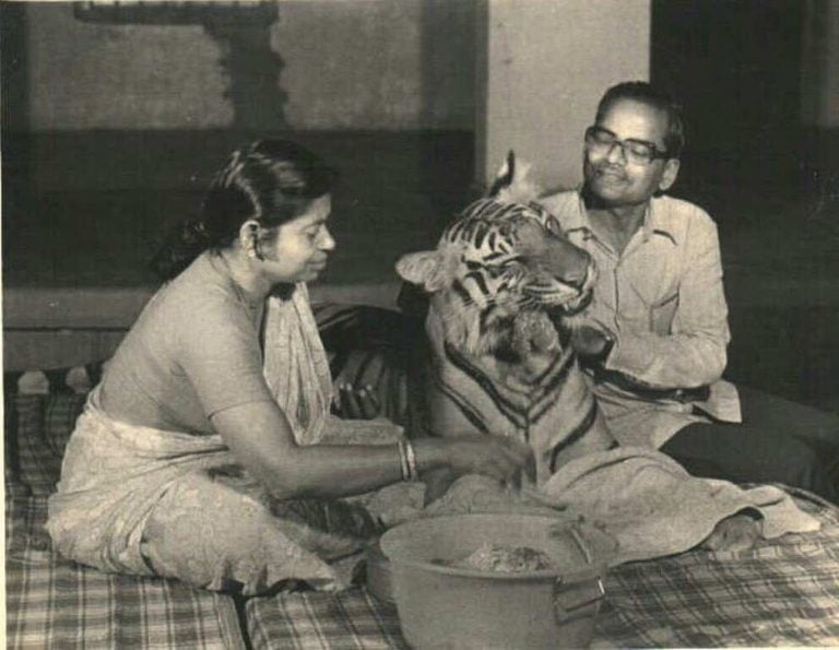 Nalini Swain, Foster Mother Of Odisha’s Legendary Tigress Khairi, Passes Away At Old Age Home