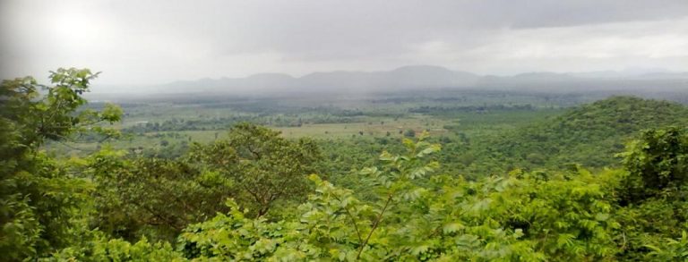 Honorary Wildlife Warden Of Boudh In Odisha Draws Wages As Protection Squad Member